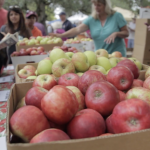 Gravenstein Apple Fair 酸甜好滋味~盡在格拉芬斯蘋果節!(8/11-8/12) Gravenstein Apple Fair 酸甜好滋味~盡在格拉芬斯蘋果節!(8/11-8/12)