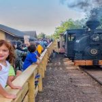Rail Fair at Ardenwood Historic Farm 鐵道博覽會 (9/2-9/4) Rail Fair at Ardenwood Historic Farm 鐵道博覽會 (9/2-9/4)