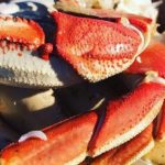 螃蟹吃到飽！4th Annual All You Can Eat Crab Feast (1/19)