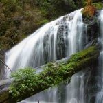 [湾区近郊] 湾区最美的瀑布Hiking Trails