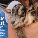 Goat Festival可愛小山羊見面會! ( 4/18)