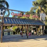 【矽谷心生活】奥克兰动物园全新扩建之California Trail