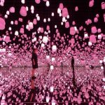[影] 樱花季限定！teamLab「呼应灯森林」变身粉红色超浪漫
