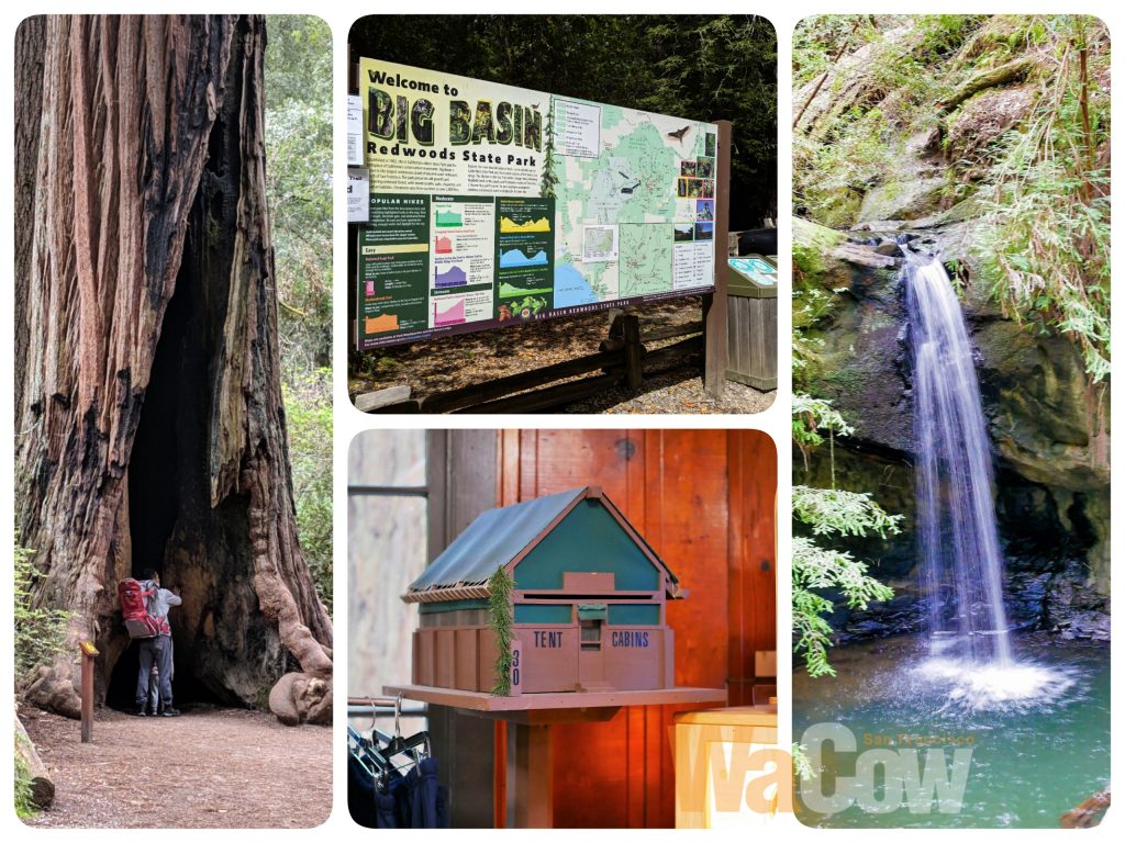 Big Basin 哇靠 舊金山wacowsf 吃貨 美食 旅游 電影 活動 找工作