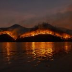 全球氣候變遷加劇森林野火 每分鐘燒掉16座足球場