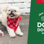 National Dog Day 全美爱犬日，Krispy Kreme 推出 Doggie Doughnuts 狗狗甜甜圈（8/26）