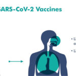 COVID-19 疫情未歇 世卫：鼻喷疫苗盼成抗疫利器