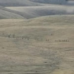 亚美尼亚与亚塞拜然冲突近百军人亡 联合国吁降温