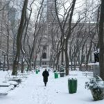 反聖嬰氣候模式影響 紐約面臨罕見「雪旱」