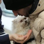 土耳其人爱猫 强震后营救照片受关注爆红[影]