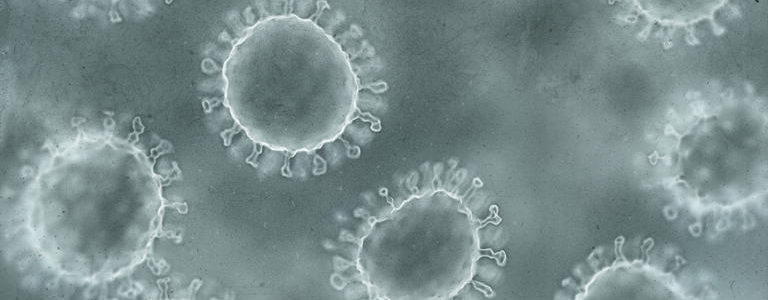 疫情激增!!數據顯示諾如病毒(Norovirus)在各地區擴散中😷